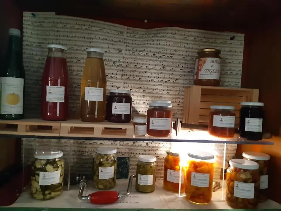 Agriturismo il Podere - Vedelago - Treviso